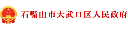 大武口区人民政府